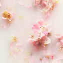 The Ritual of Sakura - Recharge Bâtonnets Parfumés