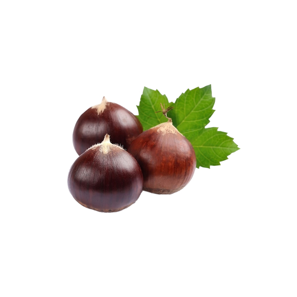 Notes de fond de crème de châtaigne